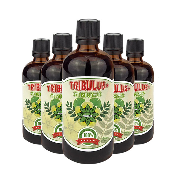 Трибулус Гинко Билоба - Tribulus Ginkgo (100 ml) 3+2