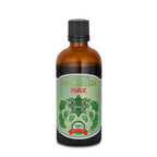 Extracto de Ginkgo Biloba – Ginkgo Biloba Max (100 ml)